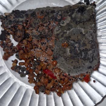 Yayla Hazır Salata Ürünü Küflü Ve Bozuk Çıktı