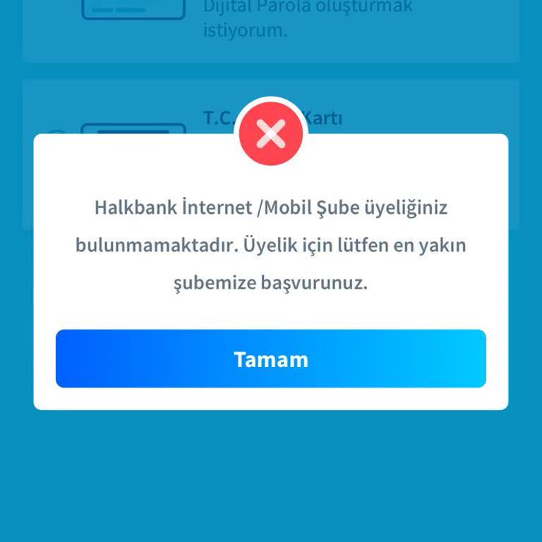 Halkbank Mobil Şube Erişim Sorunu Ve Yetersiz Bilgilendirme