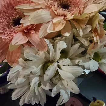 Geç Teslimat Ve Kalitesiz Çiçekler Hayal Kırıklığı Yarattı