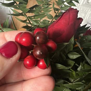 Çürük Çiçeklerle Gelen Hayal Kırıklığı