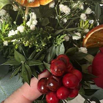 Çürük Çiçeklerle Gelen Hayal Kırıklığı