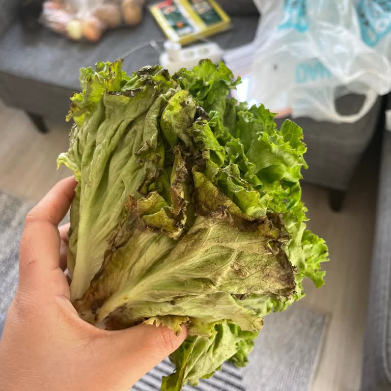 A101 Online Alışverişte Çürük Sebzeler Ve Kötü Paketleme