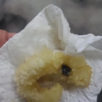 Soğan Halkalarının Kalitesizliği