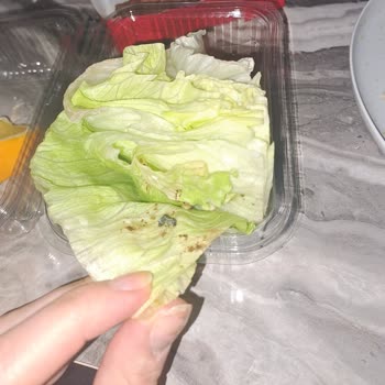 Komagene'den Alınan Çiğköftede Çamur Ve Solucan Şoku