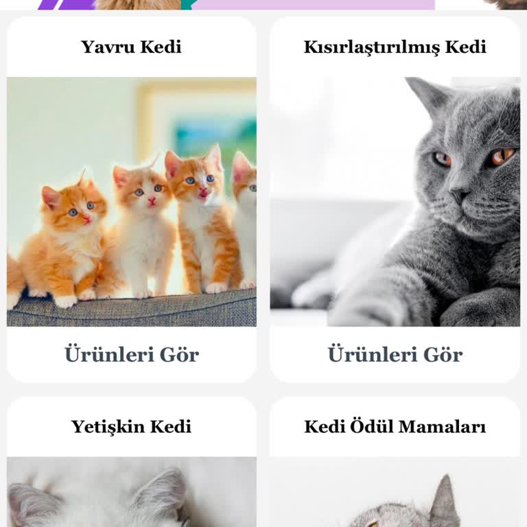 Kedi Maması Siparişim Gelmedi Ücret İadesi İstiyorum