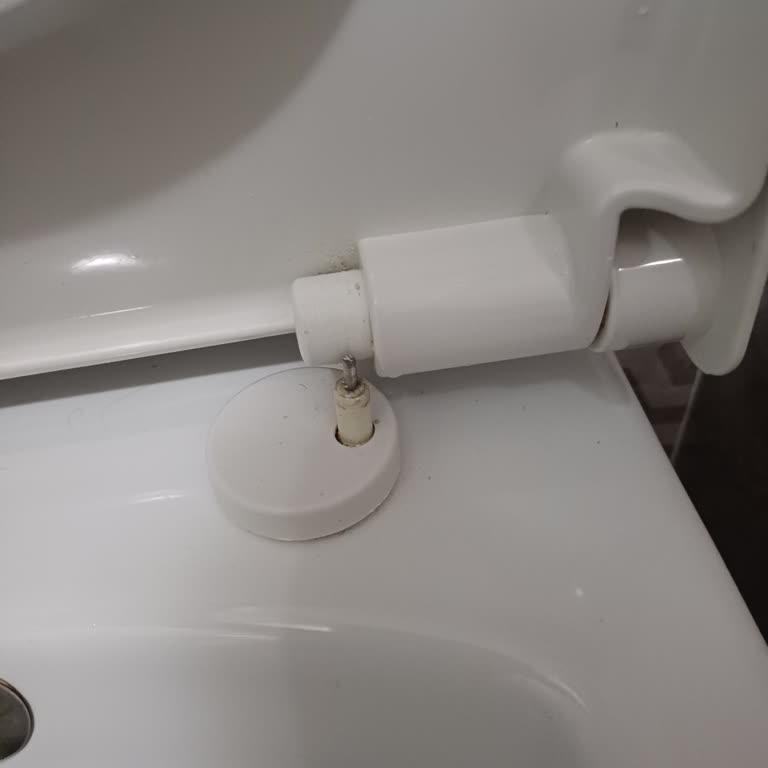 Vitra Klozet Kapağı Menteşe Sorunu Ve Garanti Belirsizliği