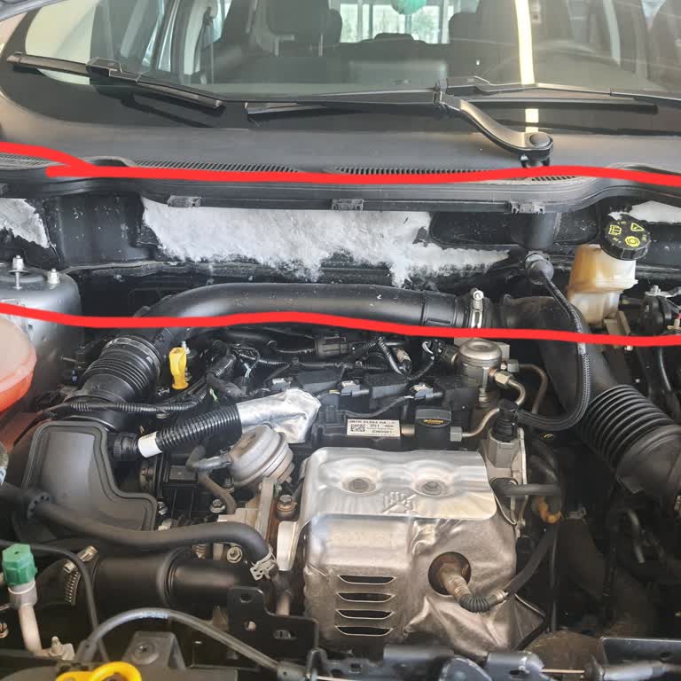 Ford EcoSport Bakımında Garanti Kapsamı Sorunu