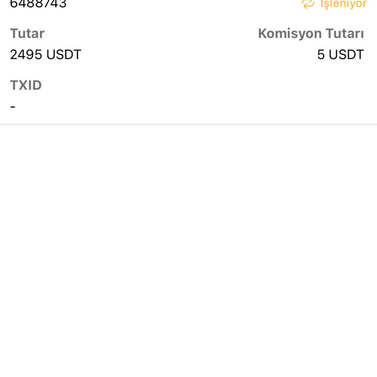 Bitci Borsasında USDT Transferi Ve TL Çekim Sorunu