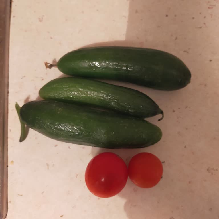 Altus Buzdolabında Bitmeyen Sebzelik Sorunu