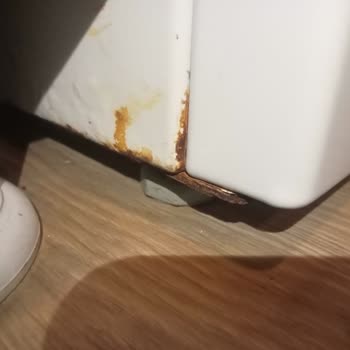 Profilo Çamaşır Makinesi Pas Sorunu