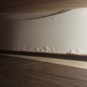 Profilo Çamaşır Makinesi Pas Sorunu