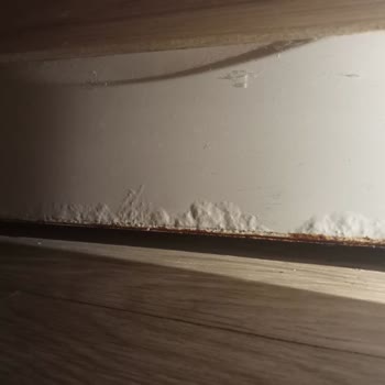 Profilo Çamaşır Makinesi Pas Sorunu