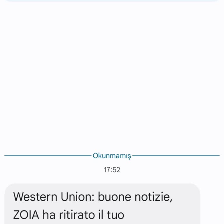 Şüpheli Mesaj Ve Yetkisiz İşlem Endişesi