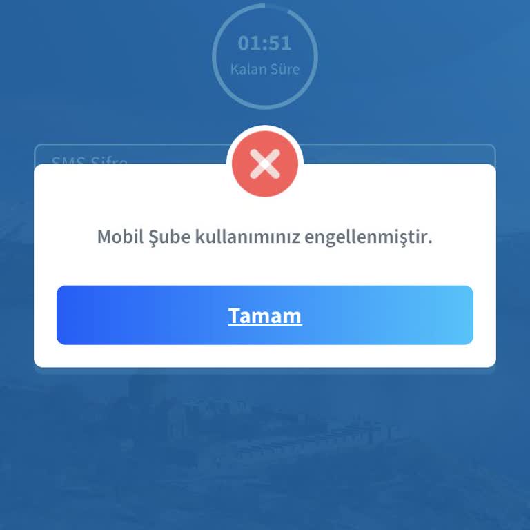Mobil İnternet Erişim Sorunu Ve Yetersiz Müşteri Hizmetleri