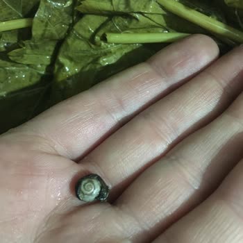 Yanıltıcı Ürün Ve İlgisiz Müşteri Hizmeti