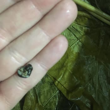 Yanıltıcı Ürün Ve İlgisiz Müşteri Hizmeti