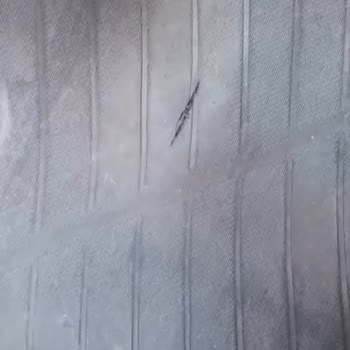 Fabrika Hatalı Lastik Ve İlgisiz Servis Deneyimi