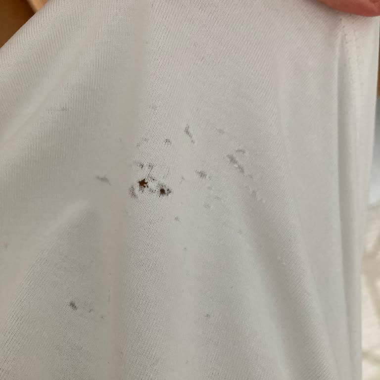 Çamaşır Makinesi Sorunları: Leke Çıkarmama Ve Pamuklanma