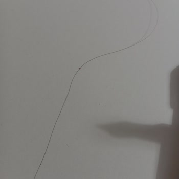 Çikolata Gofretten Çıkan Şok Edici Saç