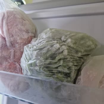 Beko Buzdolabı İle Süregelen Sorunlar