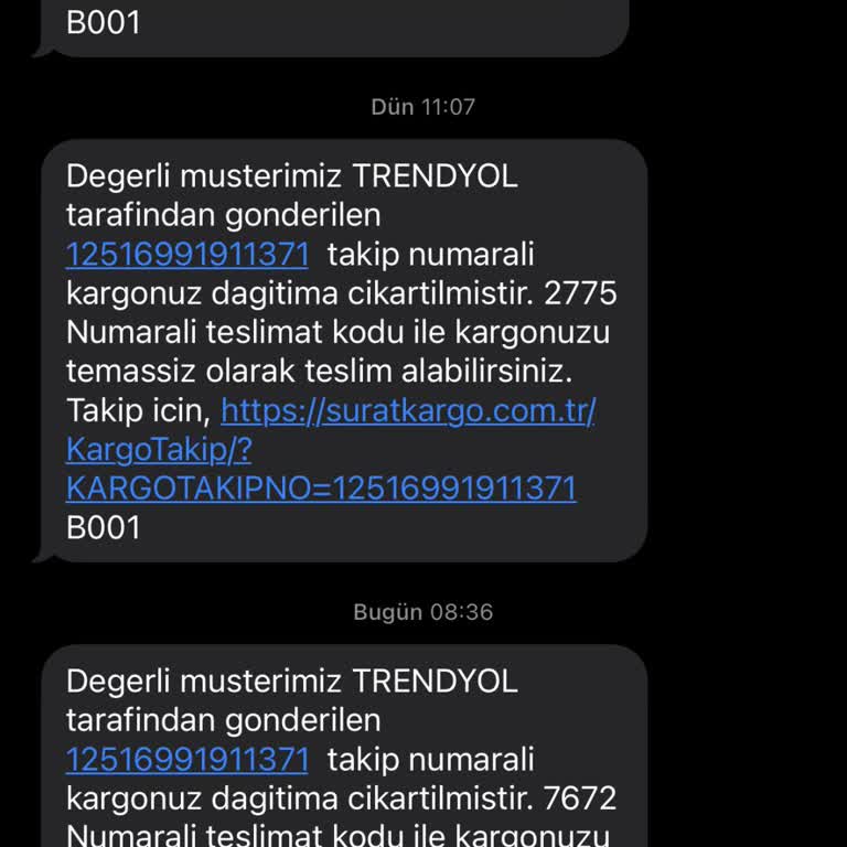 Teslim Edilemeyen Kargo: Müşteri Mağduriyeti