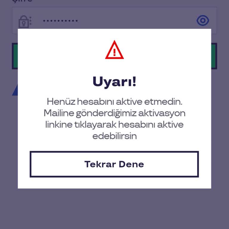 Pluxee Uygulamasında Giriş Sorunu: Onay Maili Gelmiyor