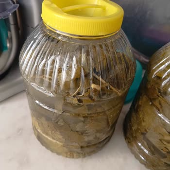 Yasmin Doğal Ürünler Çöp Kart Yaprakları Ve Yarım Bidon Sorunu