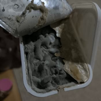 Küflü Peynir Güvenimizi Sarstı