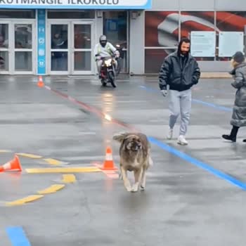 Direksiyon Sınavında Haksız Değerlendirme