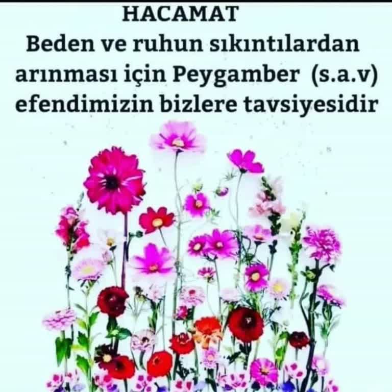 Uzun Süreli Başvuru Süreci Ve Belirsizlik