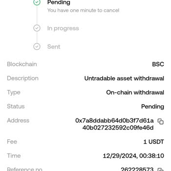 MetaMask'tan OKX Hesabına Para Transferi Sorunu