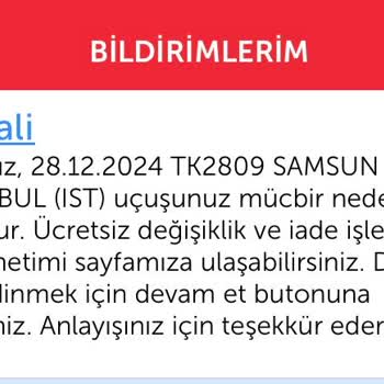 THY Uçuş İptali Ve Mağduriyet: Bebeğimle Yaşadığım Zor Anlar