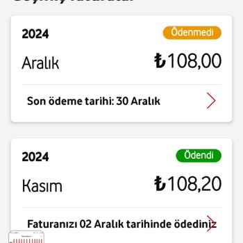 Yetersiz Paket Seçenekleri Ve Taşıma Tehdidi