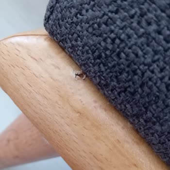 Aksu Çarşı Üç Haftadır İlgisizlik Ve Sorunlu Koltuk Takımı