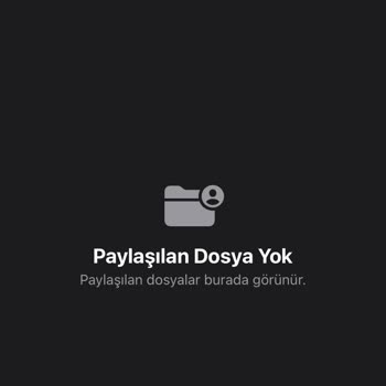 Alight Motion'da Kaydedilen Dosyalar Neden Görünmüyor?