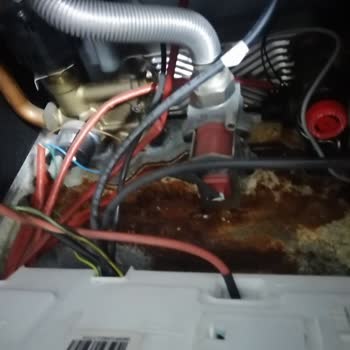 Warmhaus Kombi Mağduriyeti: Servis Ve Arıza Sorunları