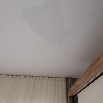 Bakyapı İnşaat Çoğu Dairede Tavan Akması Sorunu Yaşanıyor