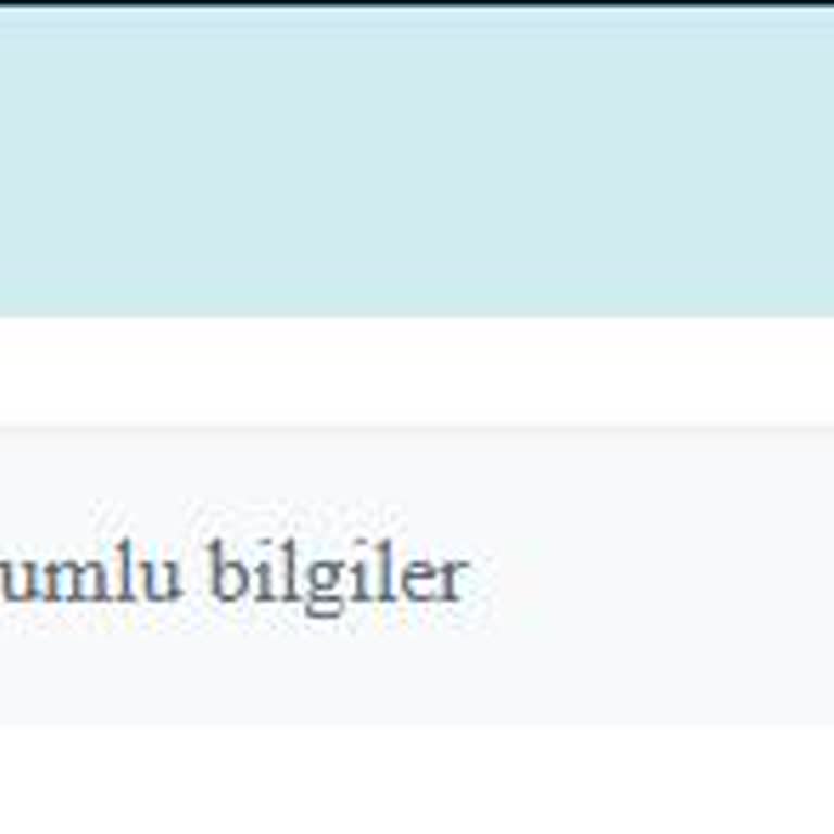 VFS Global Randevu Sisteminde Sürekli Hata