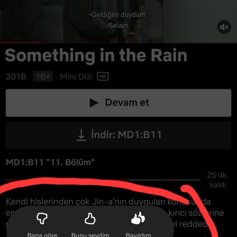 Netflix'te İzleyici Yorumları Özelliği Eksikliği