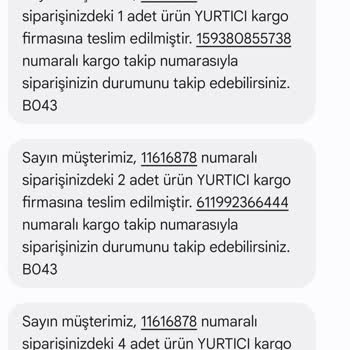 Kayıp Kargo: Teslim Edilmeyen Ürünler