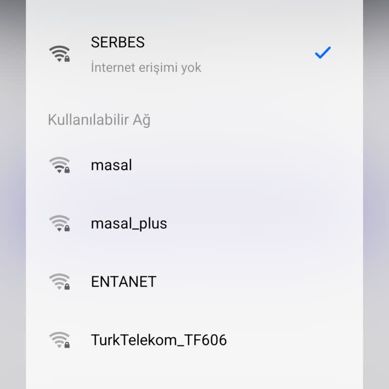İnternet Erişimi Sorunu Ve Çözüm Beklentisi