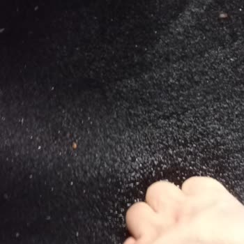 Seat Arona'da Su Sızıntısı Sorunu