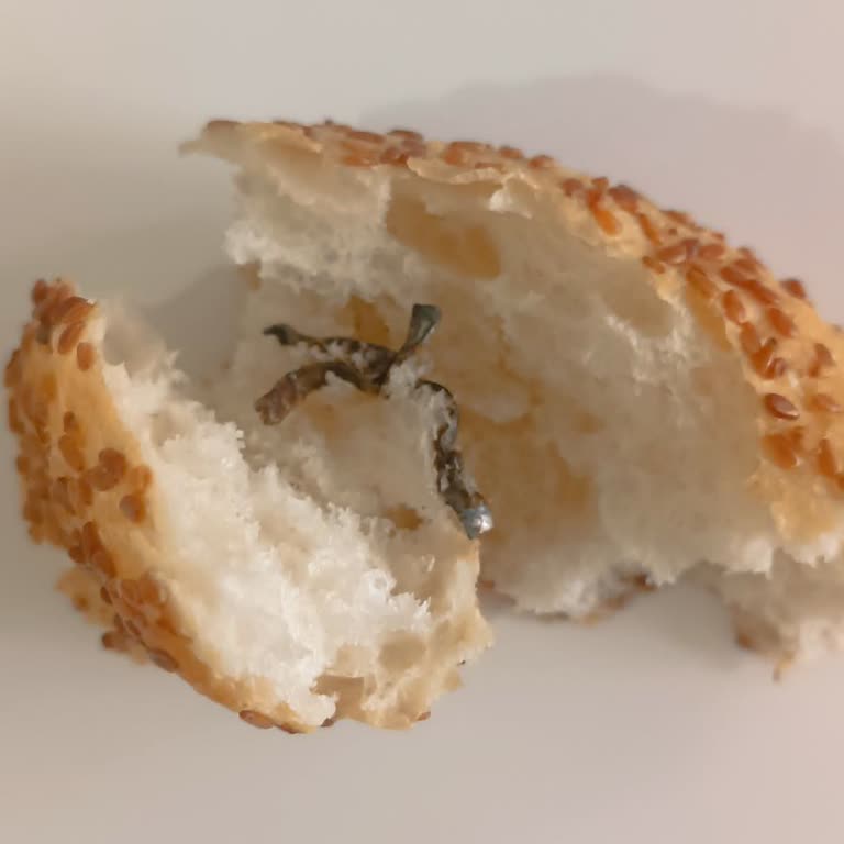 Marketten Alınan Ekmekte Yabancı Cisim Bulundu