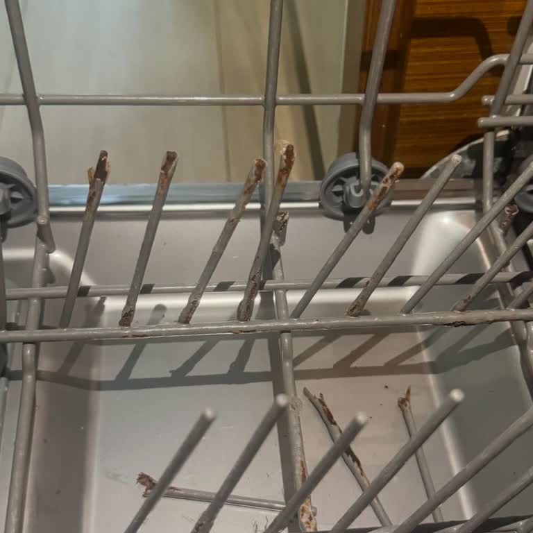 Paslanan Sepet Ve Yüksek Servis Ücreti Sorunu