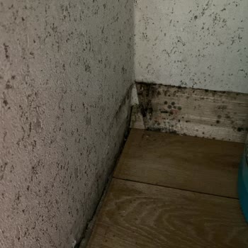 Sıfır Dairede Sızıntı Sorunu