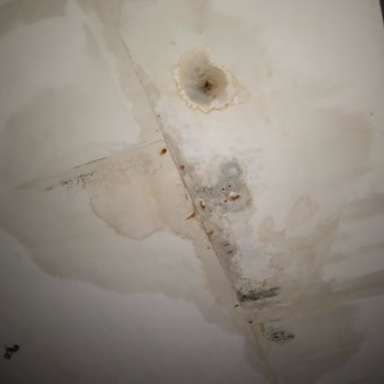 Sinema Salonunda Yaşanan Sıkıntılı Film İzleme Deneyimi