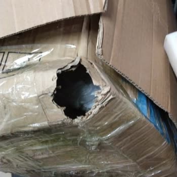 Kargom Fareler Tarafından Zarar Gördü, Şube Sorumluluk Almıyor