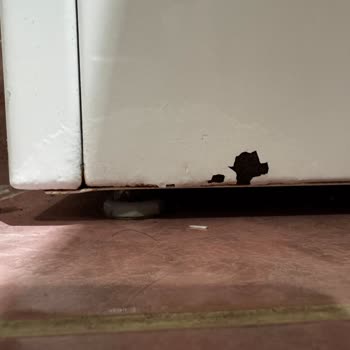 Bosch Çamaşır Makinesi Sorunu: Güven Sarsıldı!