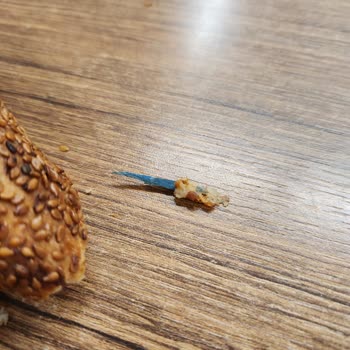 Çocuğumun Sağlığı Tehlikeye Atıldı!