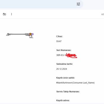 Dyson V15 İlk Kullanımda Hayal Kırıklığı